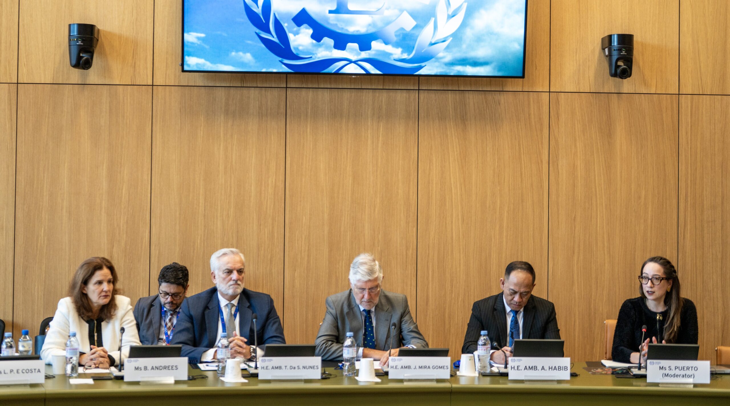 Youth Employment and the Green Transition: A Global Dialogue for Sustainable Futures