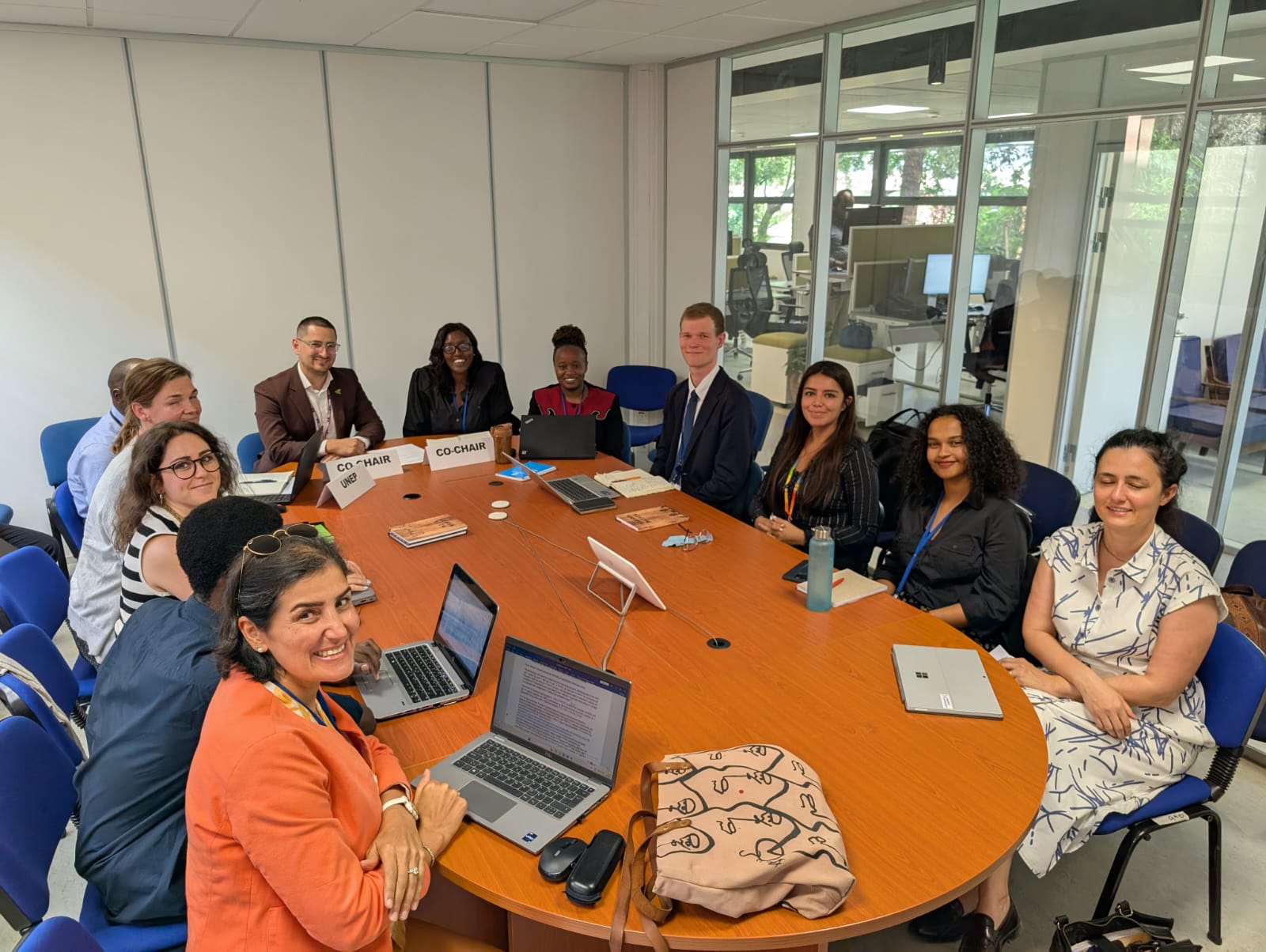 Portugal at session of group for stakeholder engagement at UNEP