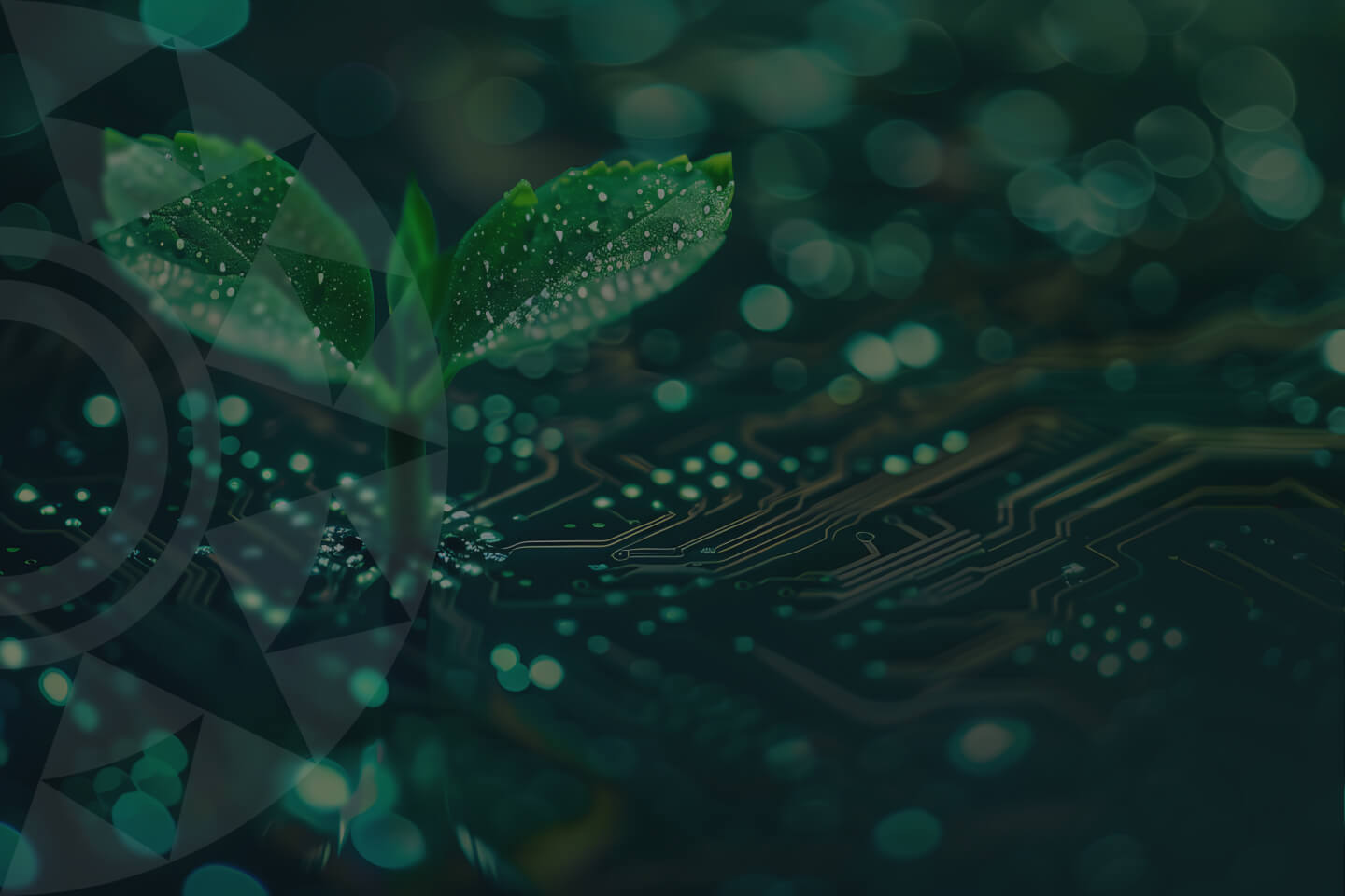 where development meets sustainability