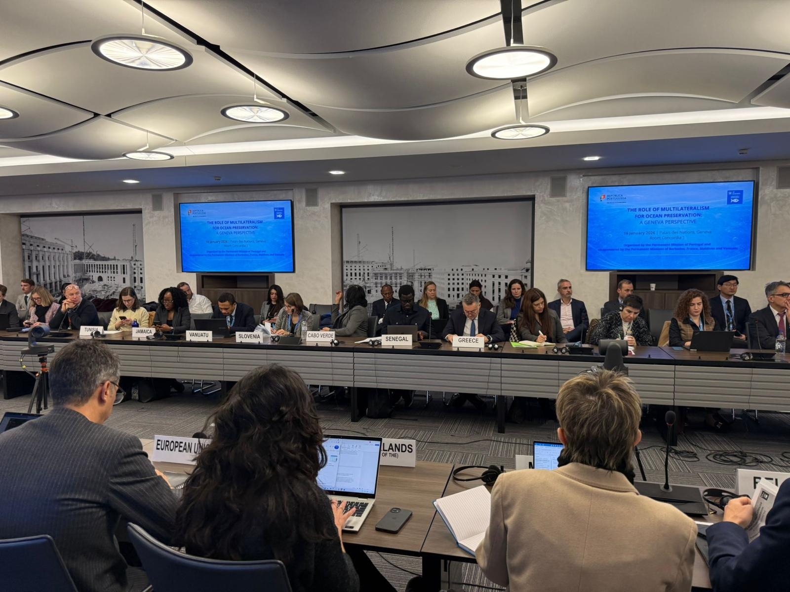 The Role of Multilateralism in Ocean Conservation: The Geneva Perspective