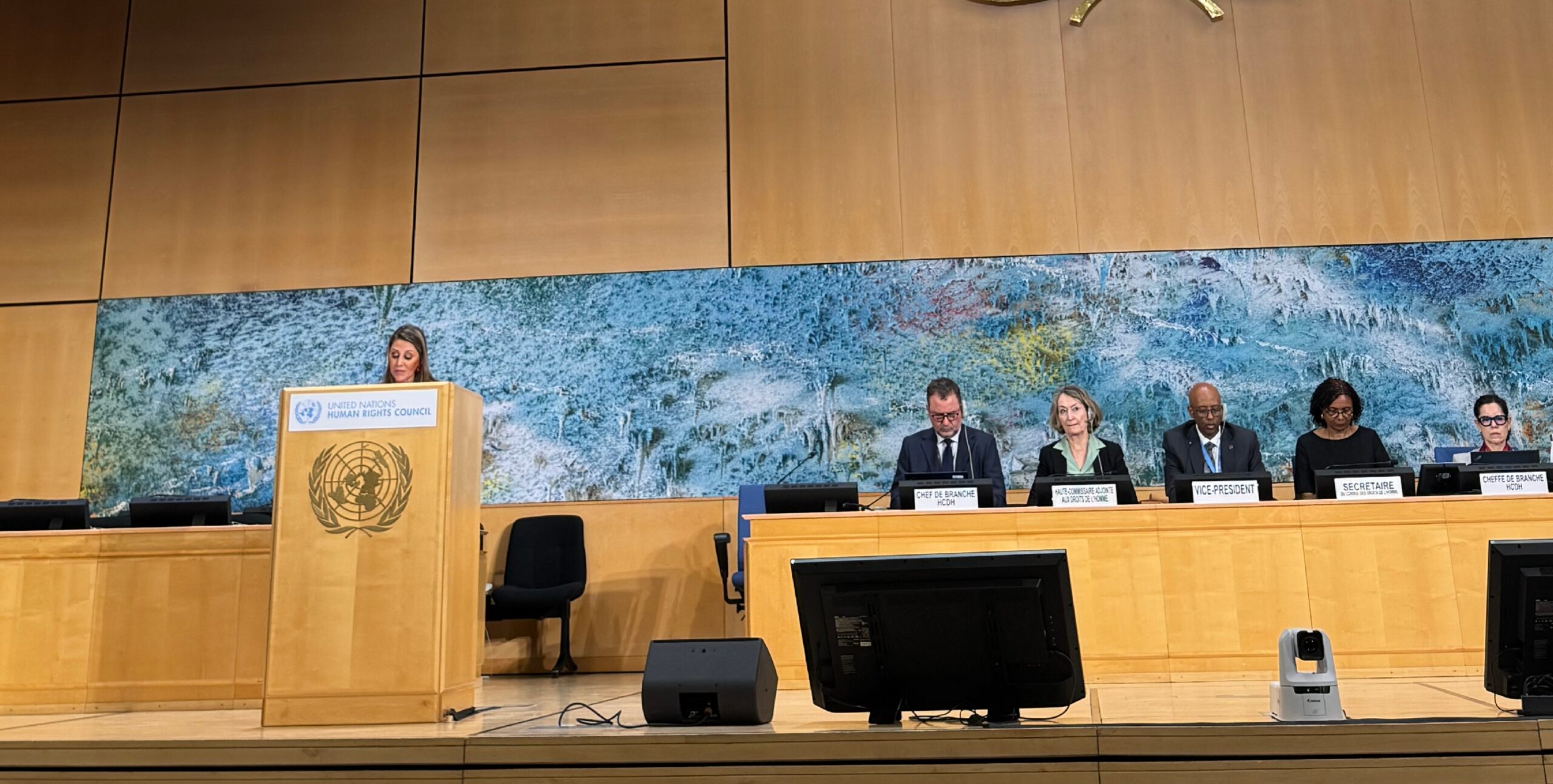 Portugal calls for stronger, better-funded human rights pillar at the Human Rights Council