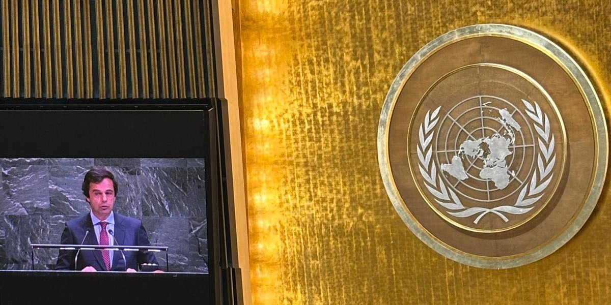 Portugal at the NPT Review Conference